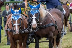 Leonhardi Reichersdorf 2023 (FS)