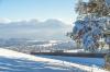 Bild 59
