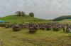 Bild 100